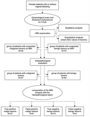 Diagnostic value of the apparent diffusion coefficient in differentiating malignant from benign endometrial lesions